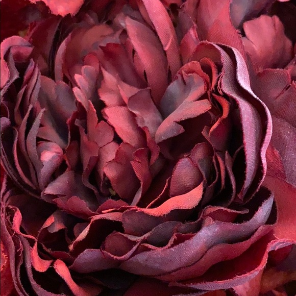 Meet your Posher, Josie - Picture 1 of 1